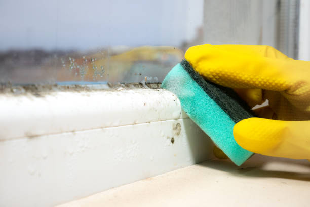 Best Residential Mold Removal  in Marmora, NJ